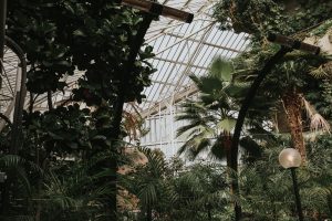 Barbican Conservatory Wedding London Alternative Wedding Photographer